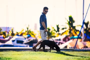 Stock Island Marina Village Dog Park